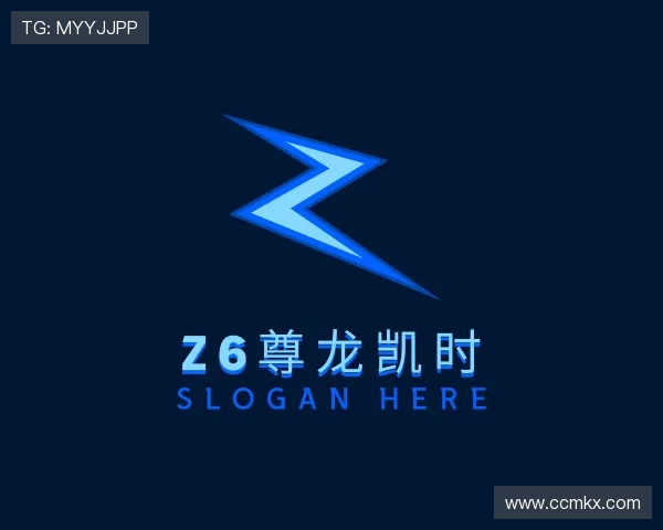 介绍z6尊龙凯时